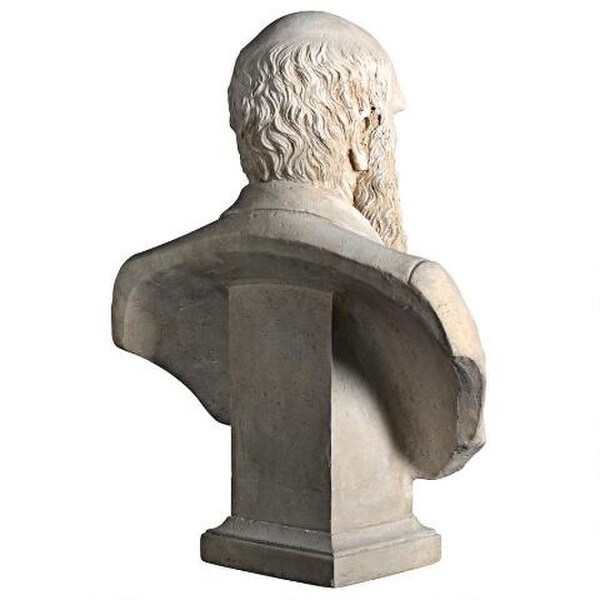 Head Sculptural Charles Darwin Bust Portrait Sculpture Biologist Naturalist